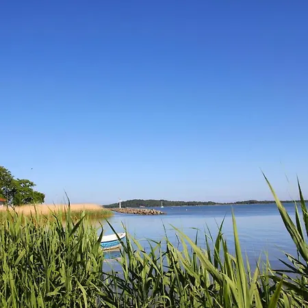 Liesi Appartement Putbus